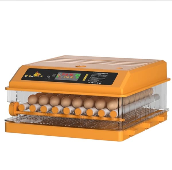 Egg incubator buying guide Kenya